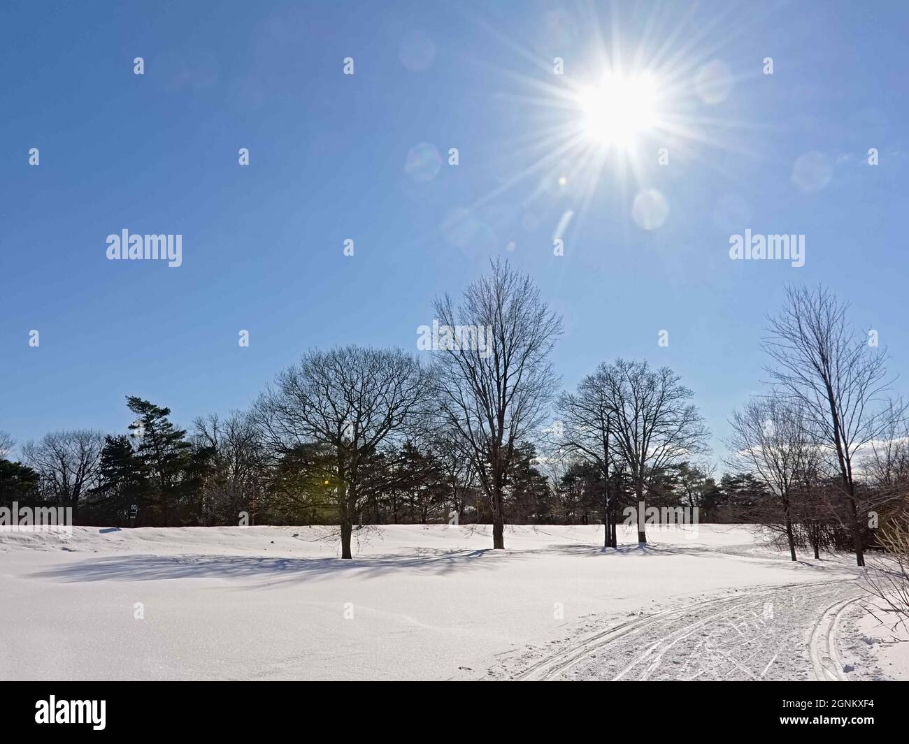 `Sjam` Cross country ski trail in the snow along bare trees and shrubs on a sunny day with the sun on a clear blue sky in Ottawa, Canada Stock Photo